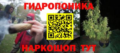 хмурый Будённовск