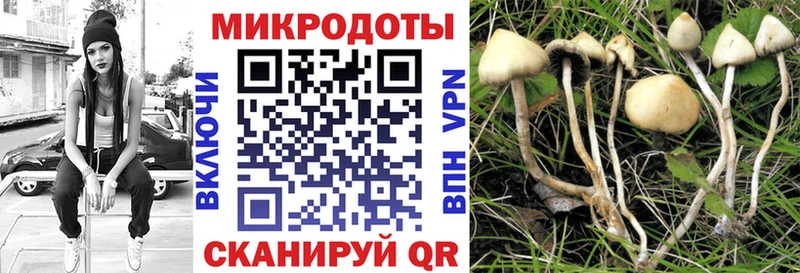 Псилоцибиновые грибы прущие грибы  shop официальный сайт  Карачаевск  даркнет сайт 