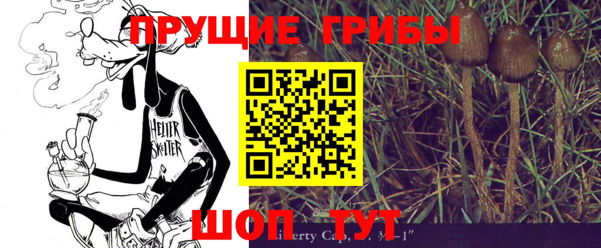 Галлюциногенные грибы мухоморы Карачаевск