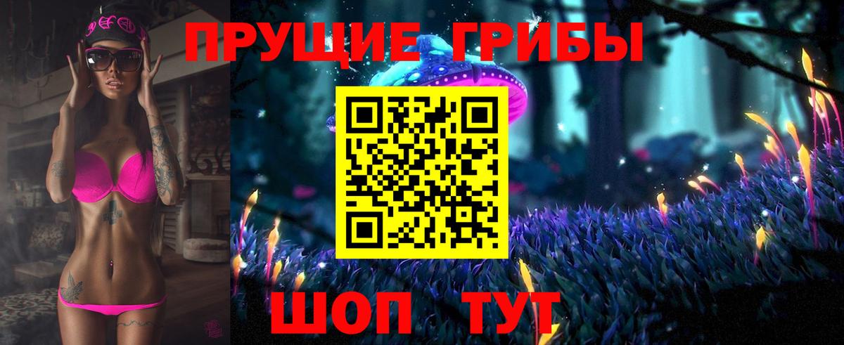 Галлюциногенные грибы Psilocybine cubensis  Карачаевск 