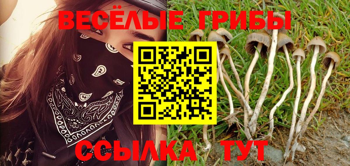 Карачаевск  Псилоцибиновые грибы мицелий  Вход с VPN  Псилоцибиновые грибы ЛСД 