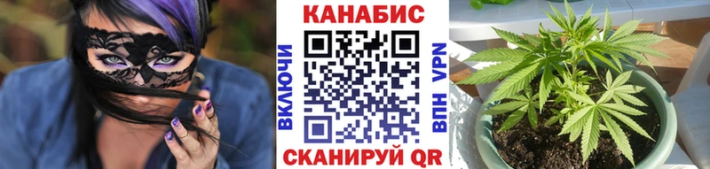 Конопля MAZAR  KRAKEN онион  Карачаевск 